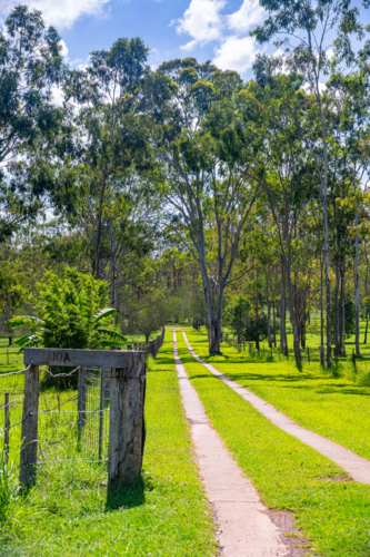 Driveway to house with vibrant green grass and wooden fence with house number in countryside - Australian Stock Image