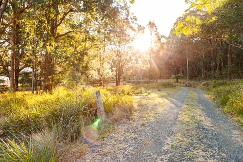 Driveway to rural property in a forest - Australian Stock Image