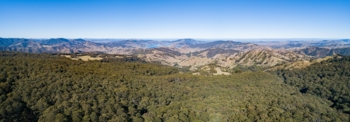 Drone image of treetops and distant hills