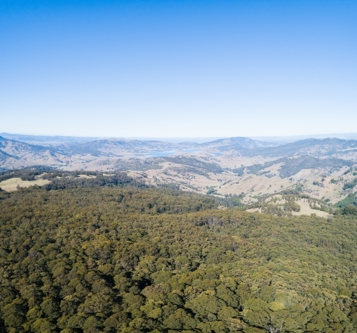 Drone image of treetops and distant hills - Australian Stock Image