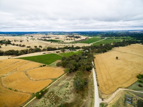 drone shot of farmland and vineyards in summer - Australian Stock Image