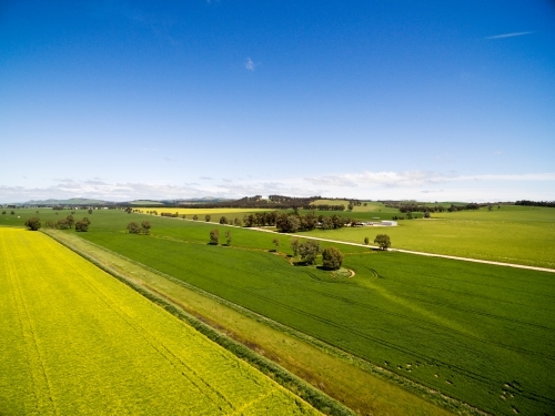 Drone shot of green crops - Australian Stock Image
