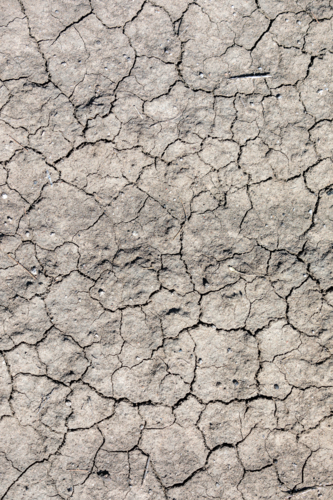 Drought affected farm land - Australian Stock Image