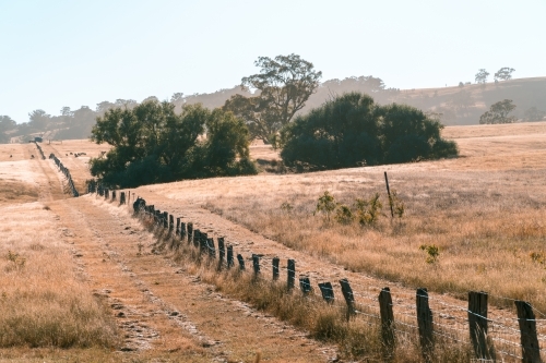 Paddock in drought in rural NSW, Australia. - Australian Stock Image