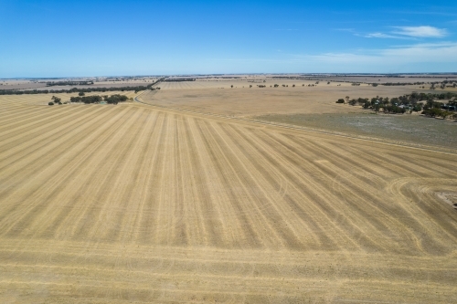 Dry brown paddock leading off into the distance in the rural setting of the Mallee. - Australian Stock Image