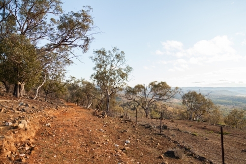 Dry dirt track through paddock beside fence - Australian Stock Image