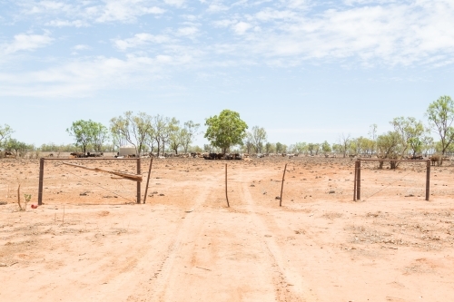 Dry, dusty outback Queensland cattle station fence