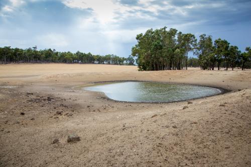 Dry farmland with small amount of water in dam - Australian Stock Image