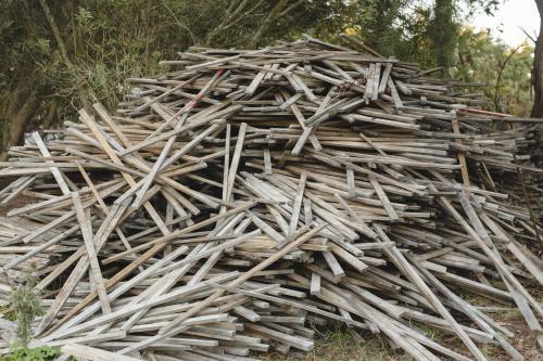 Dry fire wood sticks in a messy heap