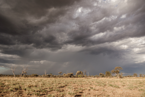Dry grassland under the dark cloudy skies - Australian Stock Image