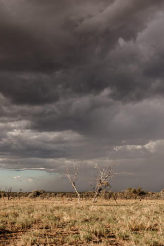 Dry grassland under the dark cloudy skies - Australian Stock Image