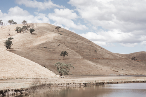 Dry, rolling hills with gum trees and water in foreground - Australian Stock Image