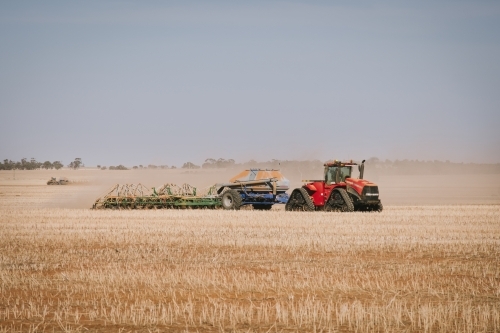 Dry weeding wheat in Bencubbin in Western Australia - Australian Stock Image