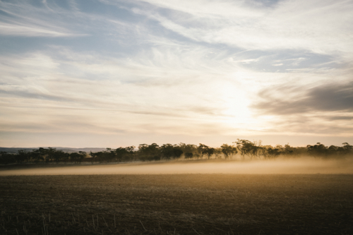 Dust settling over paddock on sunset during dry seeding in the Avon Valley of Western Australia - Australian Stock Image