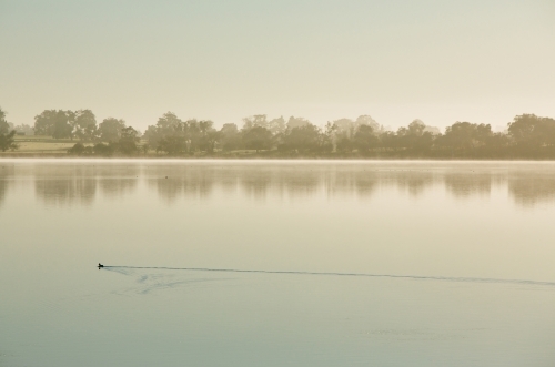 Early morning and glassy water at lake towerrinning - Australian Stock Image