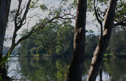 Early morning by the river - Australian Stock Image