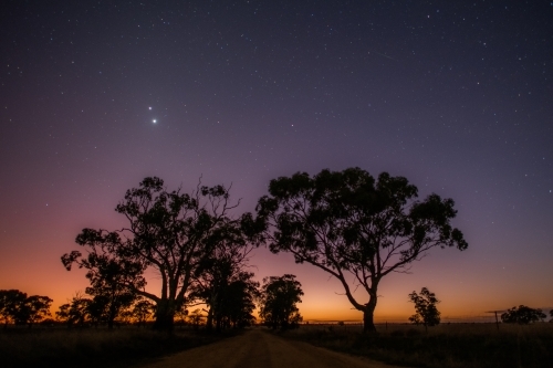 Early morning dawn along a country road through the trees - Australian Stock Image