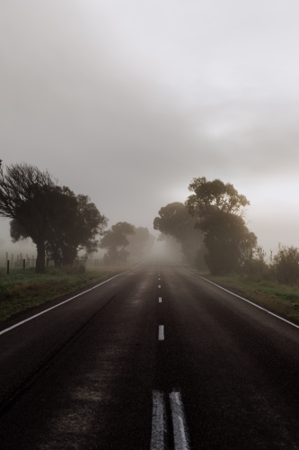 Early Morning Fog on the road - Australian Stock Image