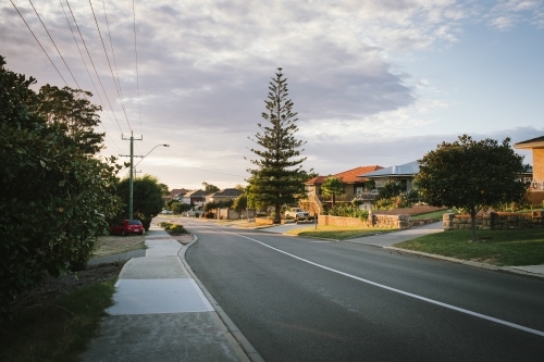Early morning light along a street in suburban Perth WA