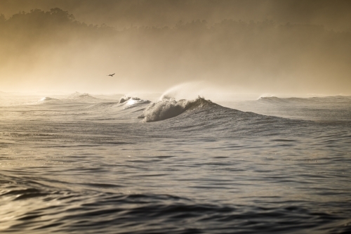 early morning misty beach scene - Australian Stock Image