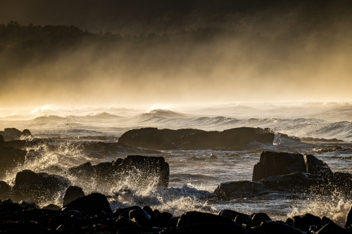 early morning misty beach scene - Australian Stock Image