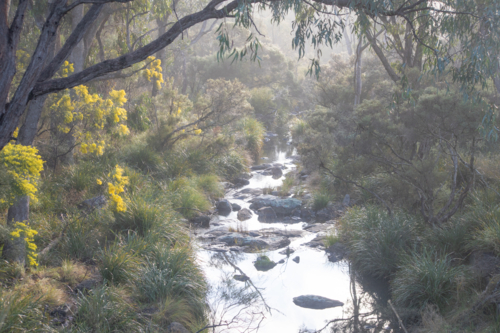 Early morning over a country creek - Australian Stock Image