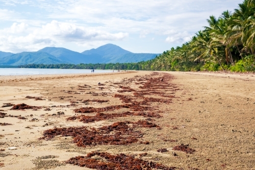 early morning relaxing tropical beachscape - Australian Stock Image