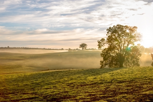 Early morning rural scene across rolling hills - Australian Stock Image