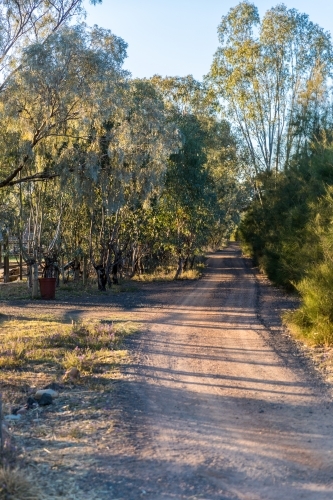 Early morning sun dappled country dirt road with blue sky