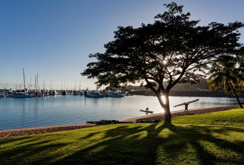 Early morning sunlight shines through tree beside water and boats