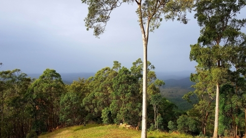 Early morning sunshine over the mountains - Australian Stock Image