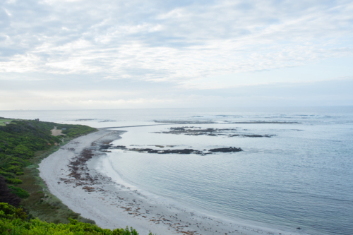 Edge of sandy beach with reef exposed and soft light - Australian Stock Image