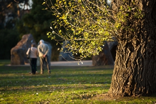 Elderly couple walking in the gardens - Australian Stock Image