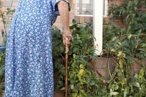 Elderly lady inspecting the garden at an aged care facility - Australian Stock Image