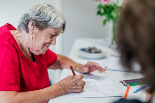 Elderly woman colouring a bird illustration on the table - Australian Stock Image