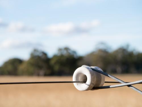 Electric Fence Insulator - Australian Stock Image