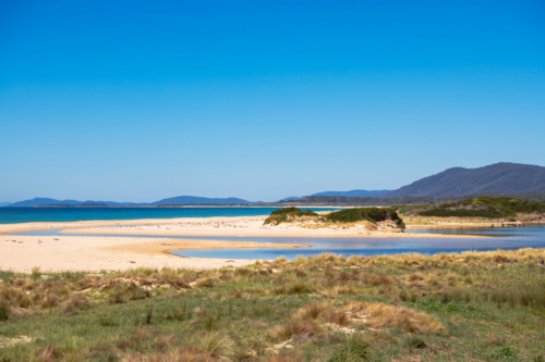 Empty beaches with grass and blue sky - Australian Stock Image