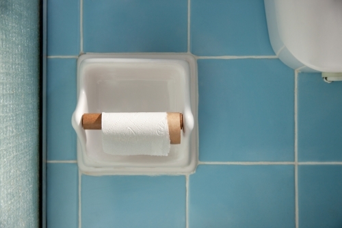 Empty toilet paper roll in bathroom - Australian Stock Image