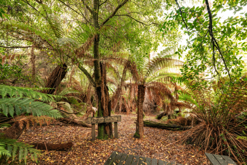 'End of Track' sign at Fern Gully in the Bylong Valley - Australian Stock Image