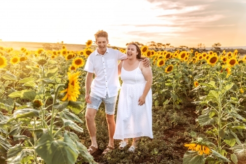 Engaged couple walking through sunflower paddock at sunset laughing - Australian Stock Image