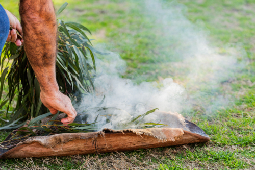 Eucalyptus gum leaves for smoking welcome ceremony at NAIDOC Week event - Australian Stock Image
