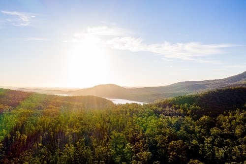 Eucalyptus landscape over Maroondah Reservoir - Australian Stock Image