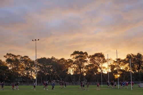 Evening football training - Australian Stock Image