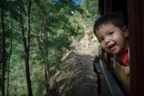 Excited 2 year old mixed race boy cheerfully rides the Walhalla historic train - Australian Stock Image