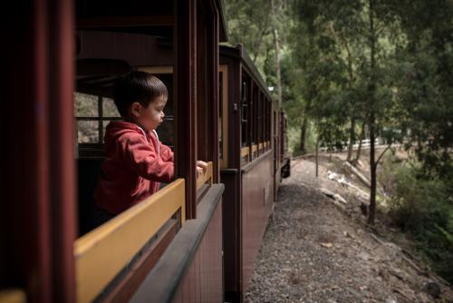 Excited 2 year old mixed race boy rides the Walhalla historic train - Australian Stock Image