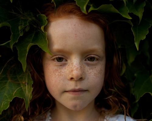 Face of a young girl hidden in leaves of a bush