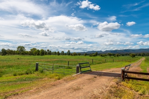 Farm access track with fences and lush summer green vegetation