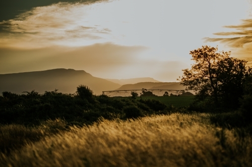 Farm at sunset - Australian Stock Image