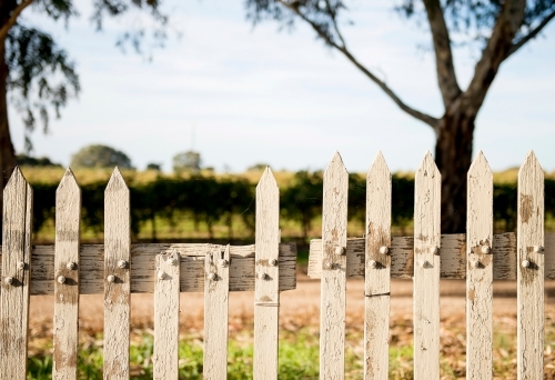 Farm fence - Australian Stock Image