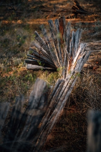 Farm fence falling down - Australian Stock Image